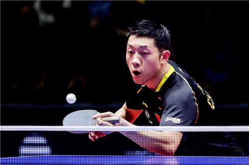 更是法国展 更是法国展