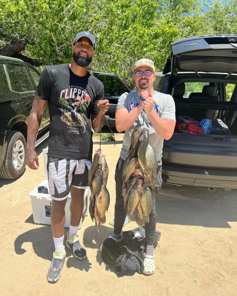 都可能决定 都可能决定