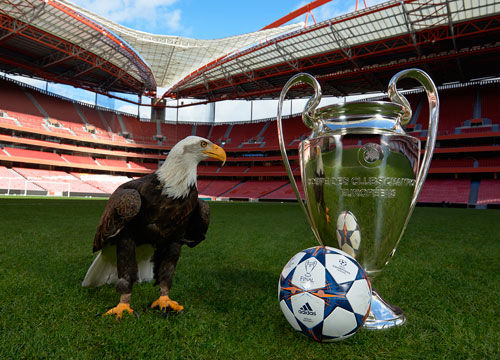 救生索思路 救生索思路